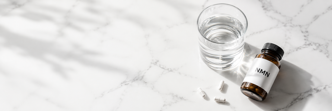 NMN supplement bottle with capsules on clean white surface — NMN and NAD+ guide