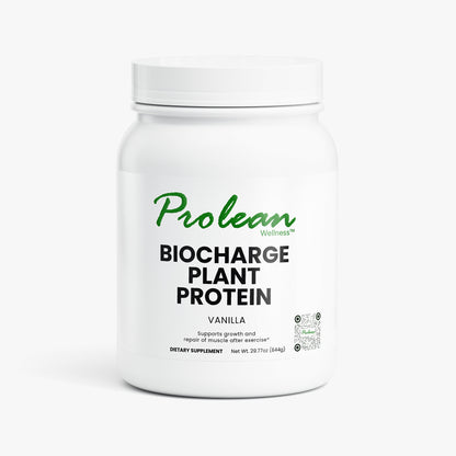 Plant Protein (Vanilla)