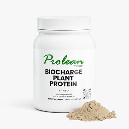 Plant Protein (Vanilla)