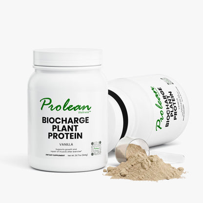 Plant Protein (Vanilla)